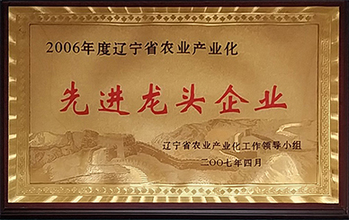 先進(jìn)龍頭企業(yè).jpg 先進(jìn)龍頭企業(yè).jpg