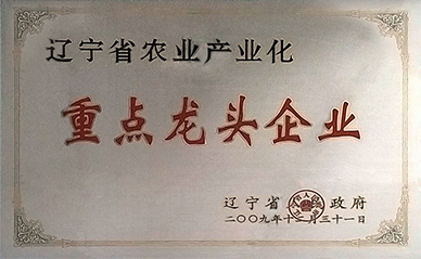重點龍頭企業(yè).jpg 重點龍頭企業(yè).jpg